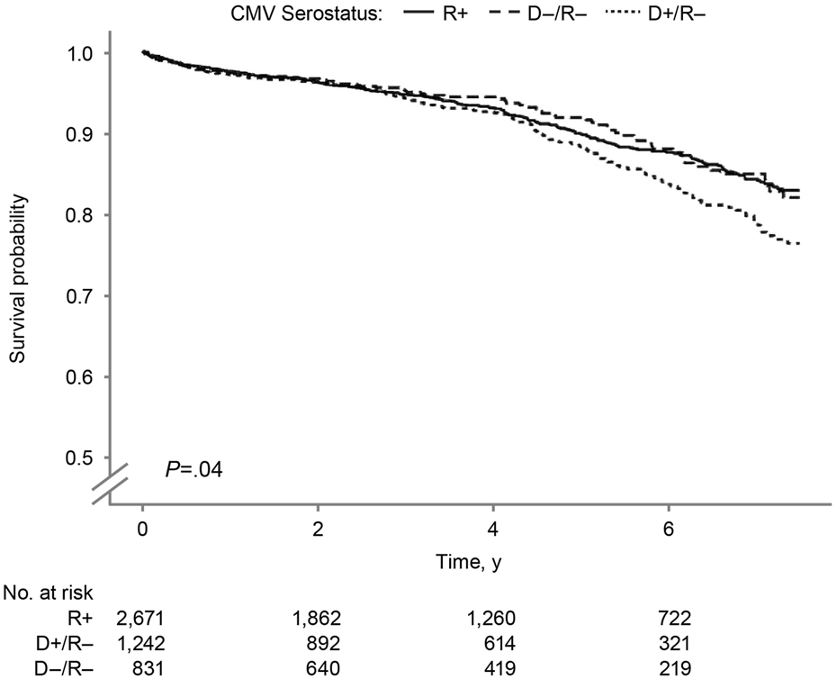 Kaplan-Meier survival plot showing survival probability over time for three CMV serostatus groups: R+ (solid line), D−/R− (dashed line), and D+/R− (dotted line). Survival probabilities decrease over seven years with the R+ group having better outcomes. The P-value is 0.04, indicating statistical significance. The number at risk decreases across all groups over time.