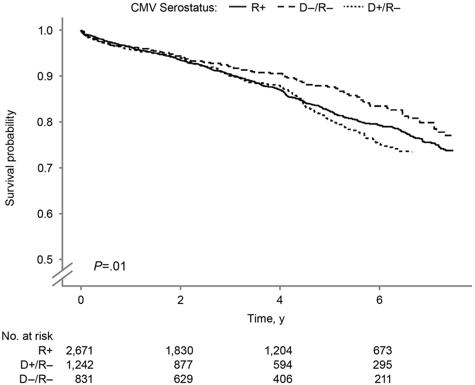 Survival probability chart over time, comparing three CMV serostatus groups: R+ (solid line), D−/R− (dashed line), and D+/R− (dotted line). D-/R- has the best survival. Significance level is P equals .01. Below the chart, the number at risk for each group is listed at intervals from zero to six years.