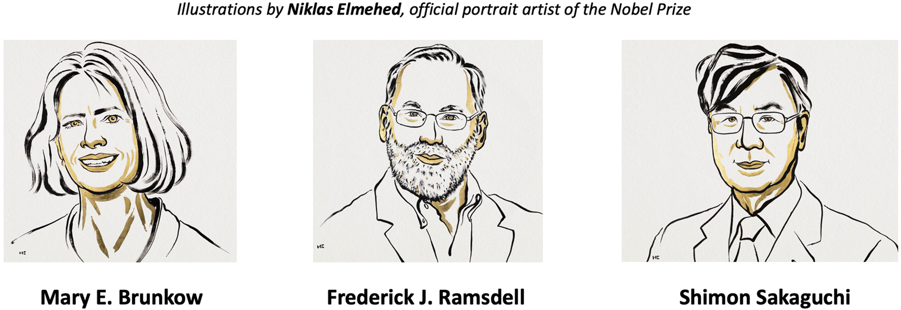 Illustrations by Niklas Elmehed of three individuals, each portrayed in a stylized manner. From left to right: a woman with shoulder-length hair, a man with a beard and glasses, and a man with glasses and short hair, all in business attire. Their names, Mary E. Brunkow, Frederick J. Ramsdell, and Shimon Sakaguchi, are listed below each portrait.
