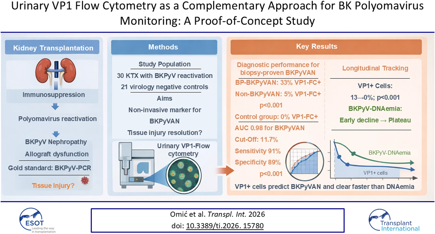 Infographic summarizing a proof-of-concept study on urinary VP1 flow cytometry for BK polyomavirus monitoring in kidney transplantation. Sections detail pathogenesis, methods using 30 patients and 21 controls, and key results showing high diagnostic accuracy for BKPyVAN. A line chart compares VP1+ cells and BKPyV-DNAemia clearance rates, illustrating faster reduction in VP1+ cells.
