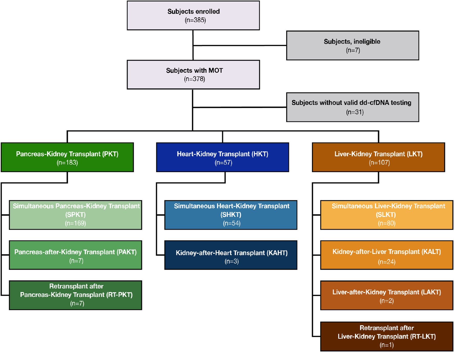 Flowchart depicting subject distribution in the study. Three hundred eighty-five enrolled; seven ineligible, thirty-one without valid testing. Three hundred seventy-eight with MOT split into pancreas-kidney (183), heart-kidney (57), liver-kidney (107) transplants. Subgroups include simultaneous, sequential, and retransplants with varying sample sizes.