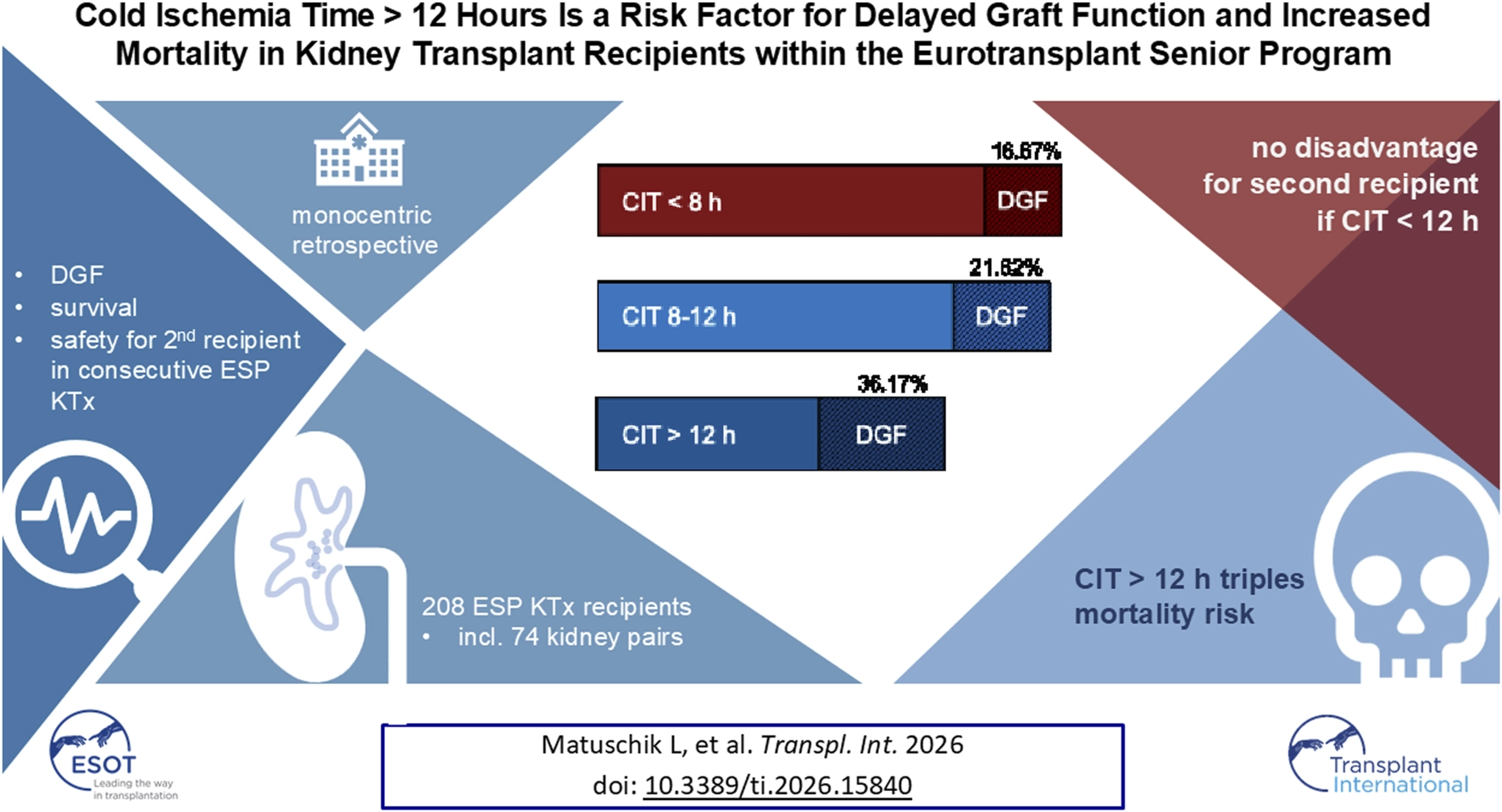 Infographic summarizing a study on kidney transplant outcomes shows delayed graft function (DGF) rates increase with longer cold ischemia time (CIT): 16.67% for CIT less than 8 hours, 21.62% for 8 to 12 hours, and 36.17% for greater than 12 hours, with CIT over 12 hours tripling mortality risk. Study is monocentric and retrospective, with 208 Eurotransplant Senior Program kidney recipients, involving delayed graft function, survival, and safety for second recipients. No disadvantage seen for the second recipient if CIT is less than 12 hours.