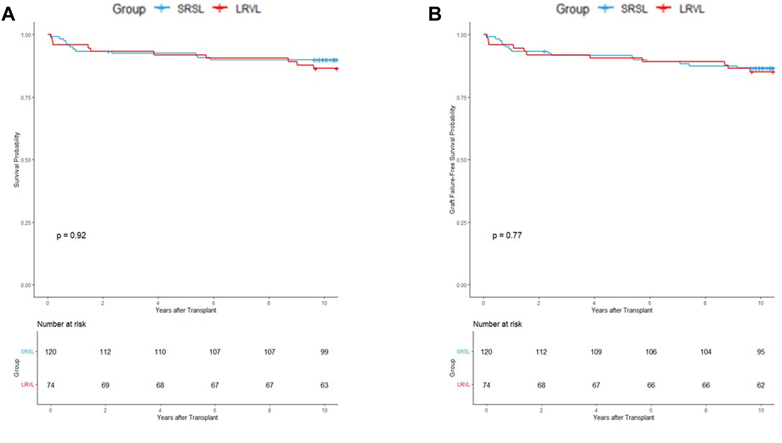 Kaplan -Meier survival curves for the overall (original) cohort comparing SRSL (blue) and LRVL (red) groups over ten years after transplantation. Panel A shows overall patient survival probability with a p-value of 0.92 and numbers at risk displayed below the x-axis. Panel B presents graft failure -free survival probability with a p-value of 0.77 and corresponding risk numbers. The curves demonstrate no significant difference in patient or graft survival between the two groups in the unmatched cohort.