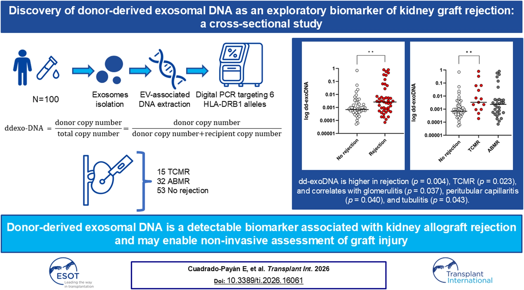 Infographic illustrating a study on donor-derived exosomal DNA as a kidney graft rejection biomarker, depicting sample workflow, equations, patient distribution, two scatter plots comparing DNA levels in rejection versus no rejection, and a concluding statement on biomarker detectability and clinical utility.