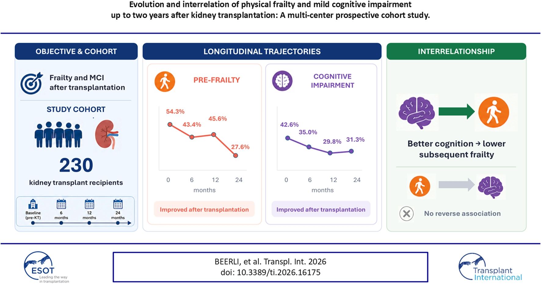 Infographic summarizing a study of 230 kidney transplant recipients, showing frailty and mild cognitive impairment (MCI) improved over 24 months post-transplant. Line graphs display pre-frailty decreasing from 54.3% to 27.6% and cognitive impairment from 42.6% to 31.3%. Better cognitive outcomes are associated with reduced subsequent frailty, with no reverse association observed.