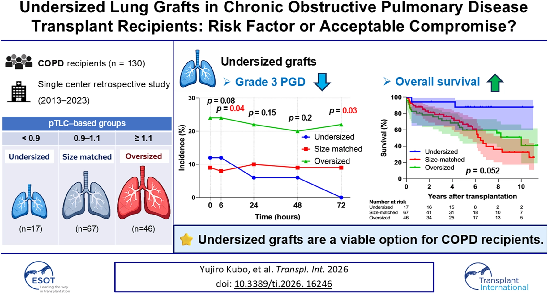 Infographic summarizing a retrospective study of 130 COPD lung transplant recipients from 2013 to 2023, comparing undersized, size-matched, and oversized grafts by pTLC ratio. Line graph shows lower Grade 3 PGD incidence in undersized grafts and Kaplan-Meier curve indicates higher overall survival for undersized grafts. Text highlights undersized grafts as a viable option for COPD recipients.