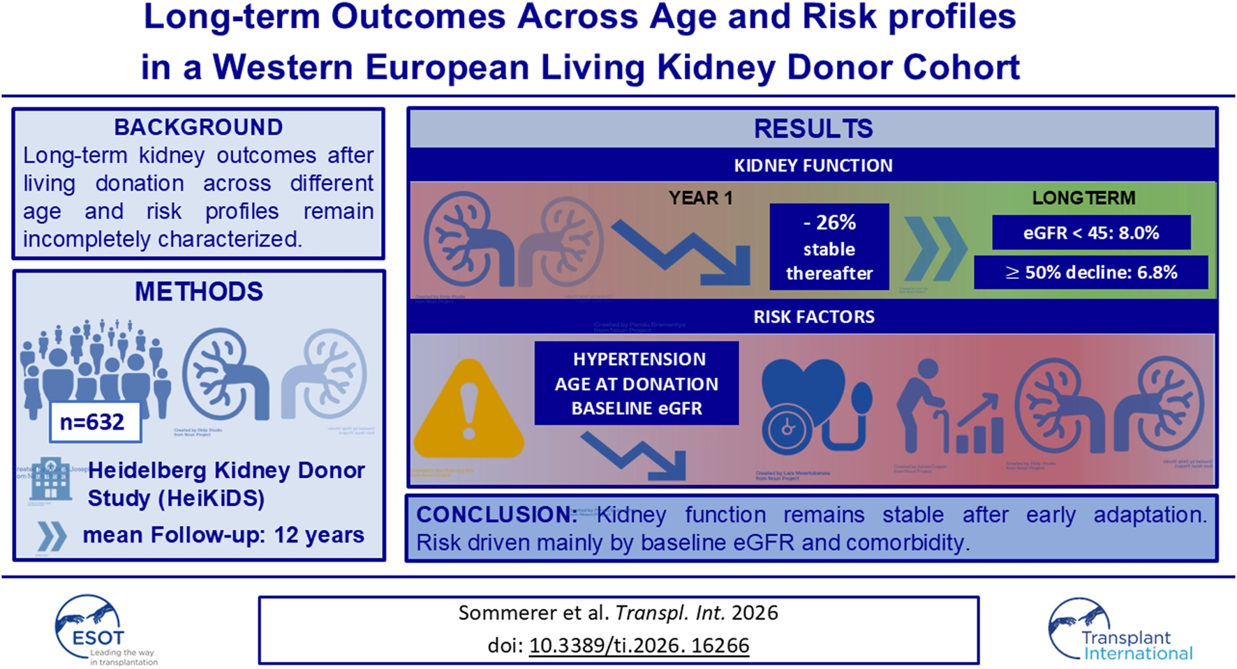 Infographic summarizing long-term kidney outcomes in Western European living kidney donors shows a 26 percent early decrease in kidney function that remains stable, with 8 percent having eGFR under forty-five and 6.8 percent experiencing at least fifty percent decline; main risk factors are hypertension, age at donation, and baseline eGFR, based on data from the Heidelberg Kidney Donor Study with six hundred thirty-two participants and twelve years average follow-up.