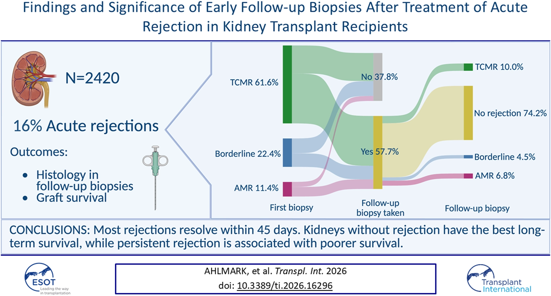 Infographic summarizing a study of 2,420 kidney transplant recipients with 16 percent acute rejection rate. It uses a Sankey diagram to show histology outcomes: most rejections resolve within 45 days, and 74.2 percent of follow-up biopsies show no rejection, while persistent rejection is linked to poorer graft survival.