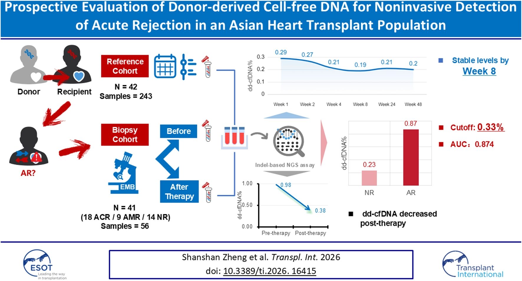 Infographic describing a study on donor-derived cell-free DNA (dd-cfDNA) for detecting acute rejection in Asian heart transplant recipients, including cohorts, sample numbers, assay illustration, line and bar graphs for dd-cfDNA levels, and diagnostic cutoff of 0.33 percent with AUC 0.874.