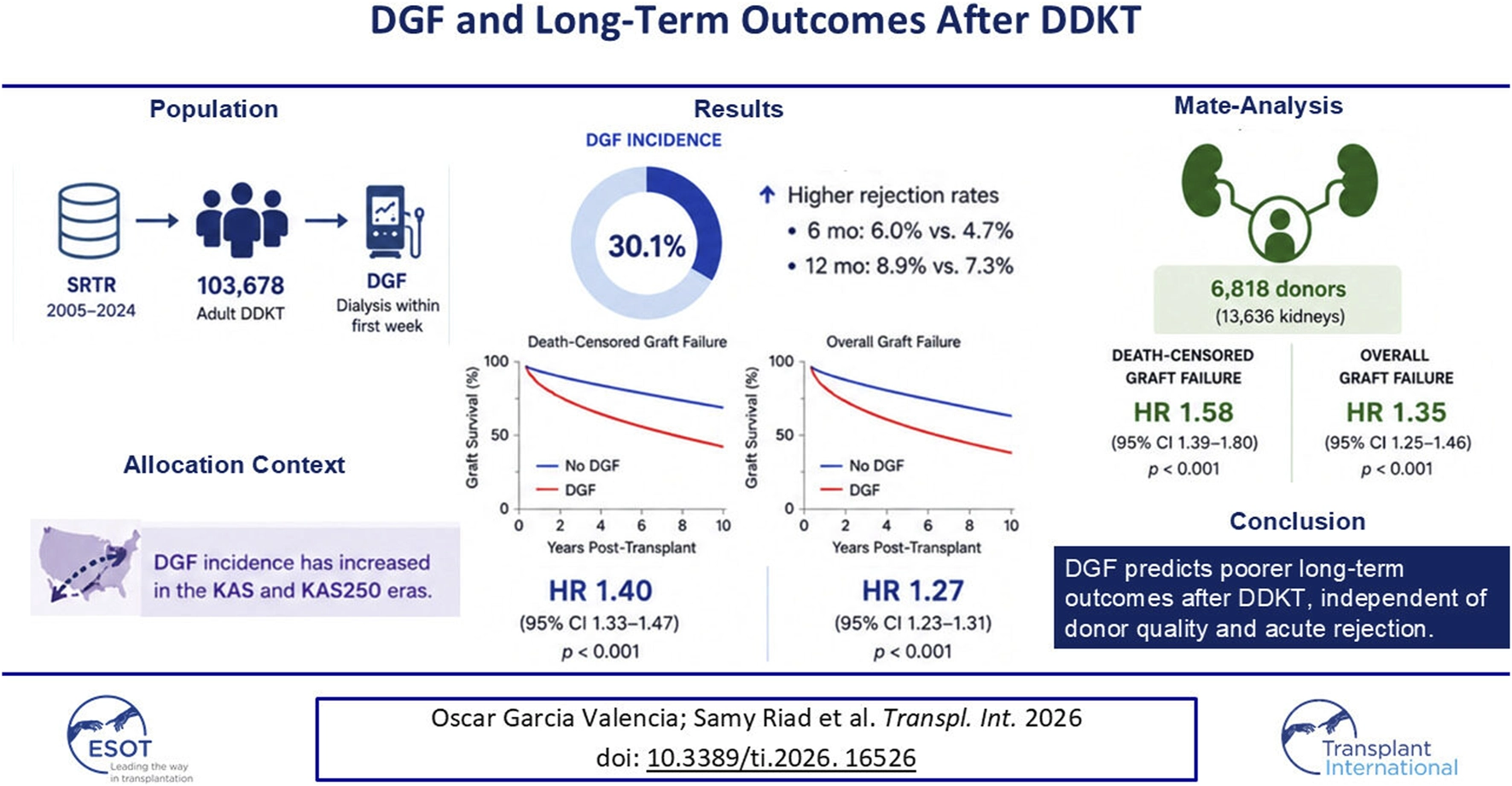 Infographic summarizing findings of delayed graft function (DGF) and long-term outcomes after deceased donor kidney transplantation (DDKT). Data from 103,678 adult DDKT recipients shows a DGF incidence of thirty point one percent, with higher rejection rates at six and twelve months for DGF. Kaplan-Meier survival curves display lower graft survival for those with DGF. Mate-analysis with six thousand eight hundred eighteen donors also associates DGF with increased risk of both death-censored and overall graft failure. Conclusion highlights that DGF predicts poorer long-term outcomes, independent of donor quality and acute rejection.
