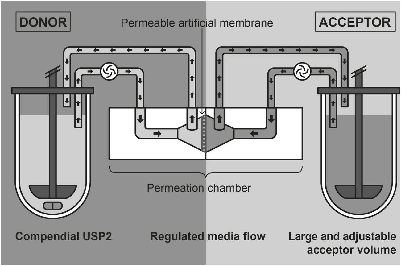 Diagram illustrating a dissolution-permeation system. System is comprised of compendial USP2 apparatus and an Ussing chamber. The donor compartment is on the left and an acceptor compartment on the right. USP2 of the donor and acceptor are connected to the donor and acceptor compartments of the Ussing chamber, respectively, with silicone tubing. A permeable artificial membrane is mounted between two parts of the Ussing chamber.. Media flow is regulated using interconnected tubing and peristaltic pumps. Arrows indicate media movement and flow direction throughout the system.