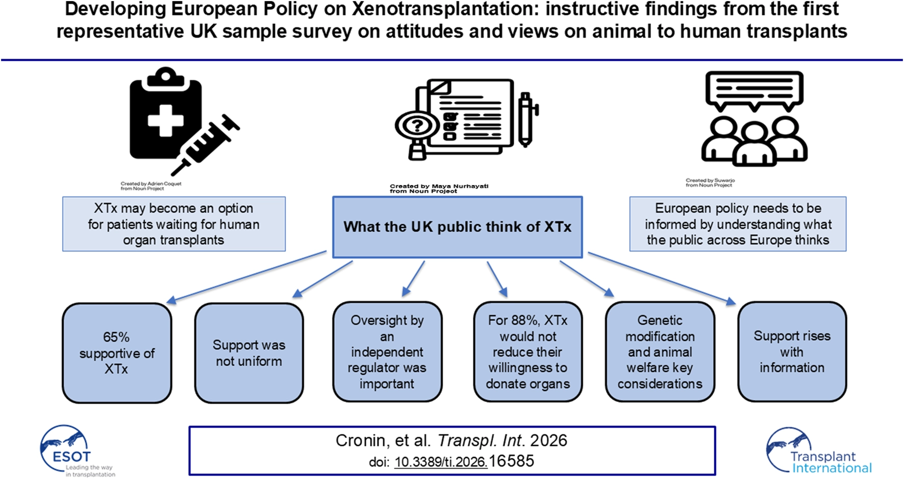 Infographic summarizing UK public attitudes toward xenotransplantation (XTx). Sixty-five percent supportive of XTx; support was not uniform, increased with information, and for eighty-eight percent, willingness to donate organs was unchanged. Oversight by an independent regulator, genetic modification, and animal welfare were key concerns. European policy should reflect public opinion. Source: Cronin et al., Transplant International, 2026.