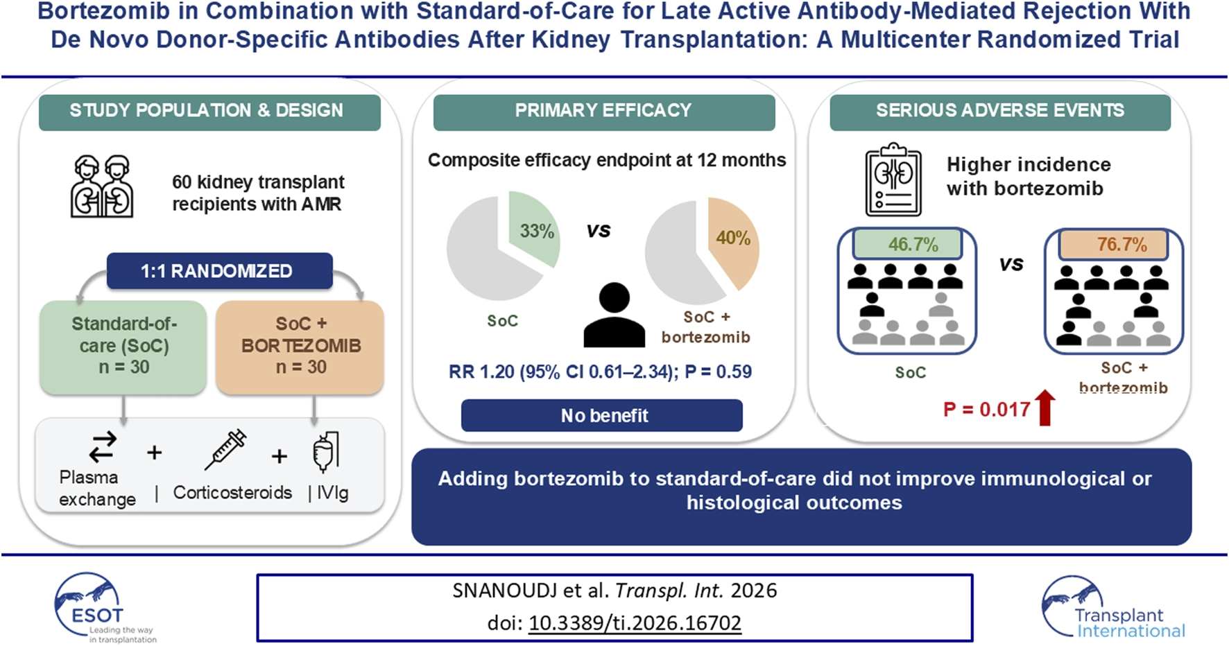 Infographic summarizing a randomized clinical trial of 60 kidney transplant recipients with antibody-mediated rejection, comparing standard of care (SoC) versus SoC plus bortezomib. Primary efficacy at 12 months showed 33 percent efficacy for SoC and 40 percent for SoC plus bortezomib, with no significant benefit reported. Serious adverse events were higher in the SoC plus bortezomib group (76.7 percent) versus SoC (46.7 percent), with a statistically significant difference (P = 0.017). Conclusion states that adding bortezomib did not improve immunological or histological outcomes.