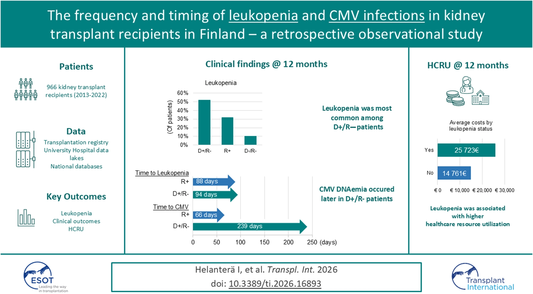 Infographic summarizing a Finnish retrospective study on leukopenia and CMV infections among 966 kidney transplant recipients from 2013 to 2022, using registry and hospital data. Key findings: leukopenia was most common in D+/R- patients at twelve months, with a bar chart showing higher incidence in D+/R- compared to R+ and D-/R-. Time to leukopenia was similar between groups but CMV DNAemia occurred much later in D+/R- patients. Costs were higher for patients with leukopenia, as shown in a bar chart comparing average healthcare costs by leukopenia status.