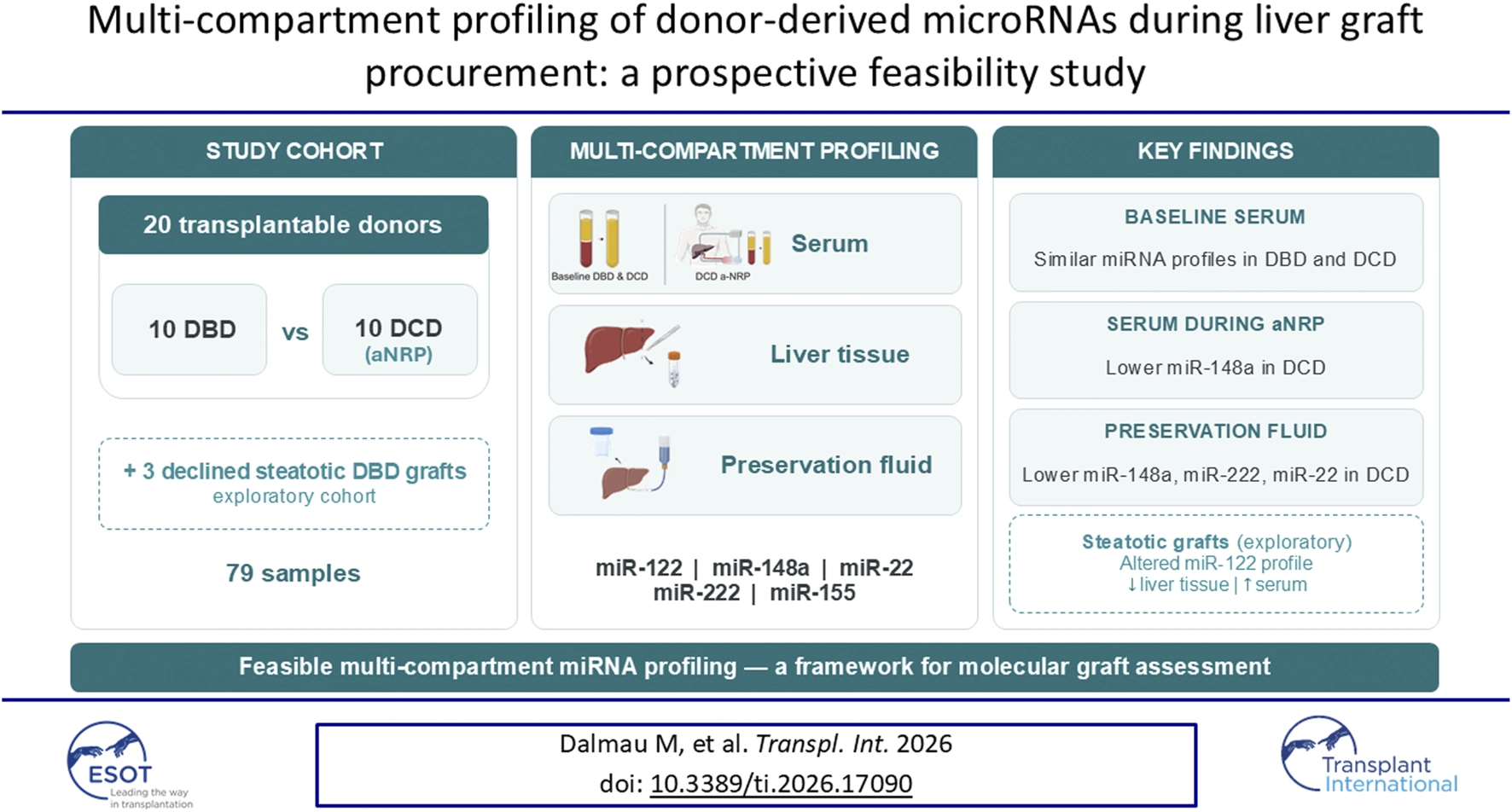 Infographic summarizes a study on multi-compartment profiling of donor-derived microRNAs during liver graft procurement. It outlines the study cohort of twenty transplantable donors (ten DBD and ten DCD), includes three declined steatotic DBD grafts as an exploratory cohort, and mentions seventy-nine samples. Multi-compartment profiling involved analysis of serum, liver tissue, and preservation fluid for specific microRNAs. Key findings include similar baseline serum miRNA profiles in DBD and DCD, lower miR-148a in DCD serum during aNRP, and lower miR-148a, miR-222, and miR-22 in DCD preservation fluid. Steatotic grafts showed altered miR-122 profiles.