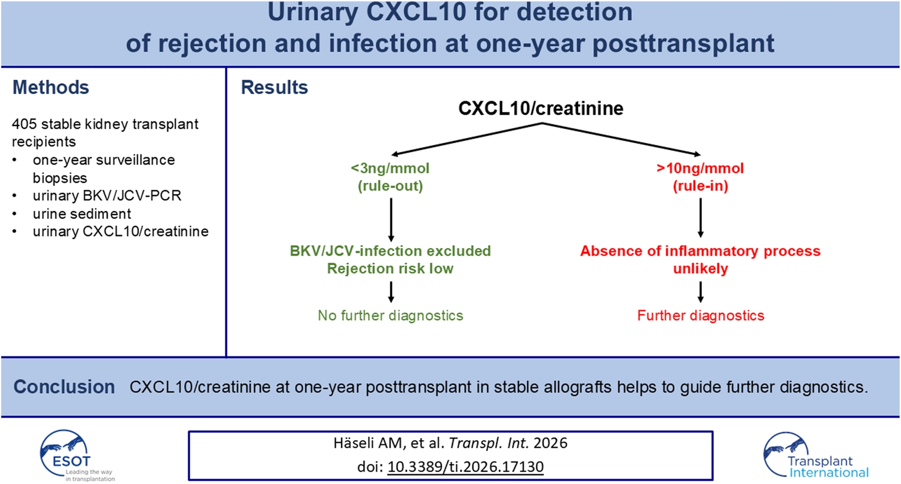 Infographic summarizes a study on urinary CXCL10/creatinine for detecting rejection and infection at one year after kidney transplant, showing that low values rule out further diagnostics while high values indicate the need for additional evaluation.