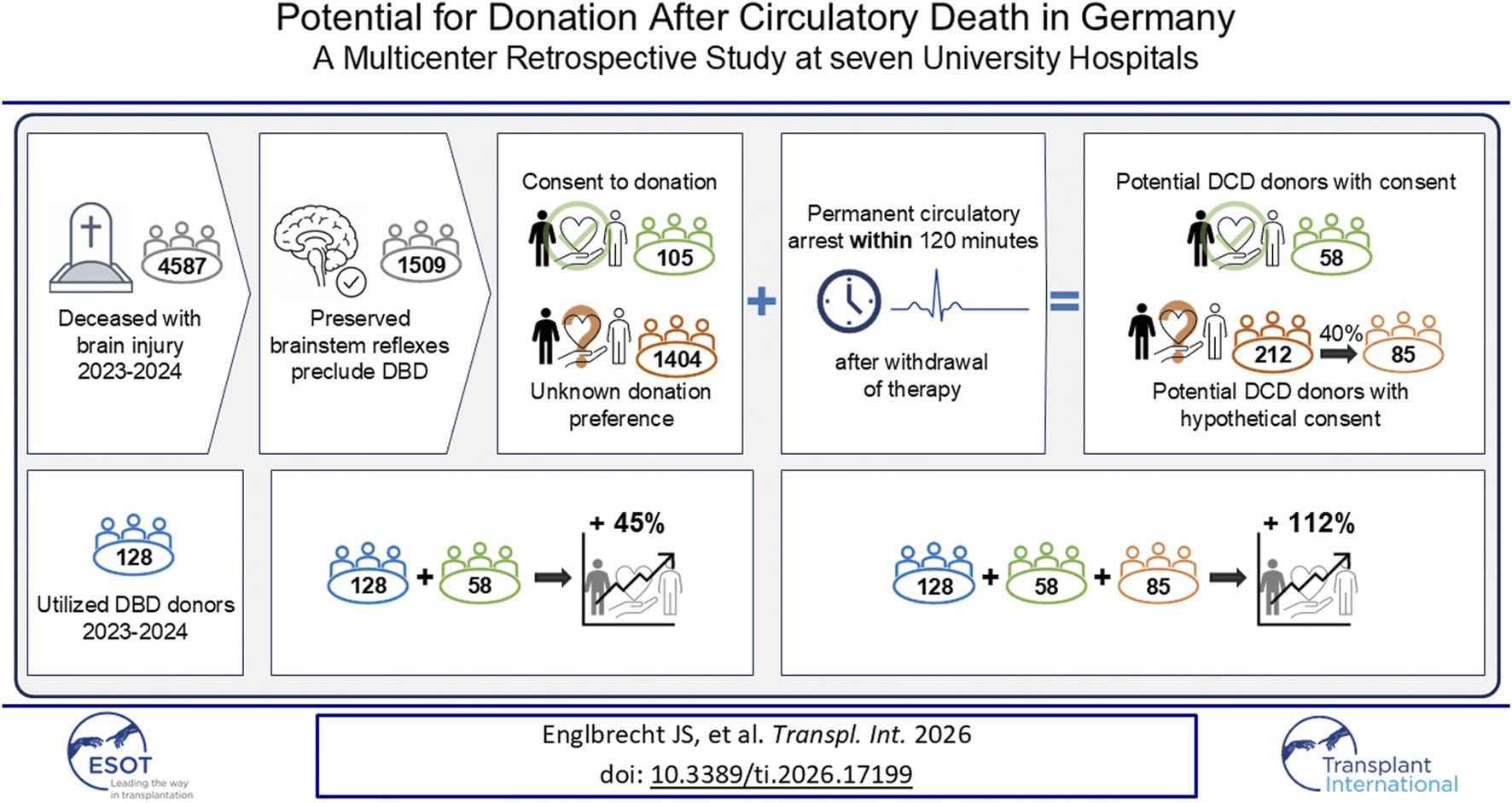 Flowchart graphic summarizing a German multicenter study on potential organ donation after circulatory death, showing patient eligibility steps, actual and hypothetical donor counts, and projected increases of 45% or 112% in donor availability when incorporating DCD donors.