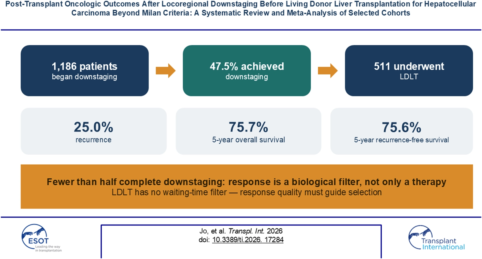 Infographic summarizing a systematic review on locoregional downstaging before living donor liver transplantation in hepatocellular carcinoma. Out of 1,186 patients, 47.5 percent achieved downstaging, and 511 underwent transplantation. Outcomes include 25.0 percent recurrence, 75.7 percent five-year overall survival, and 75.6 percent five-year recurrence-free survival. A highlighted note states fewer than half complete downstaging, emphasizing response quality over waiting time for patient selection.