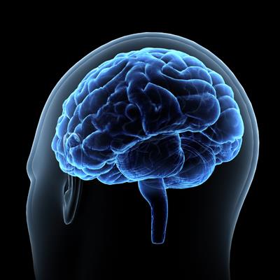 Special Issue Research topic image