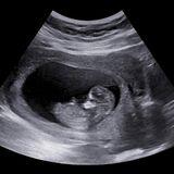 Special Issue Research topic image