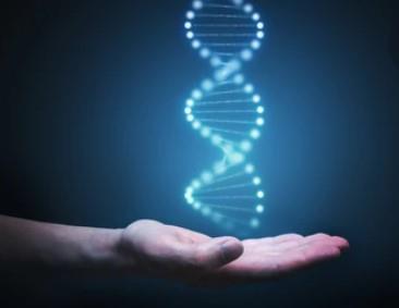 Special Issue Research topic image