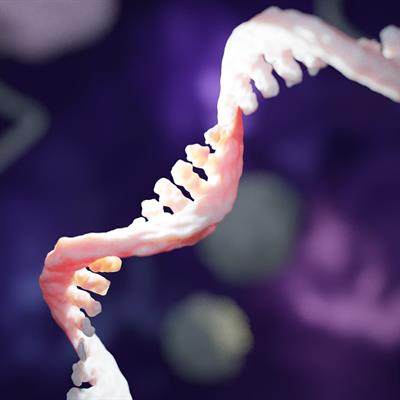 Special Issue Research topic image