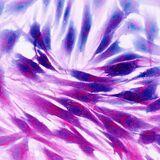 Special Issue Research topic image