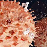 Special Issue Research topic image