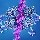 Special Issue Research topic image