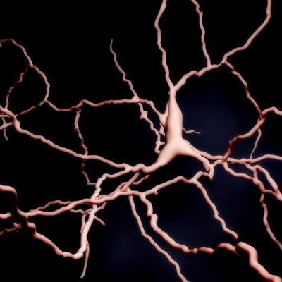 Special Issue Research topic image