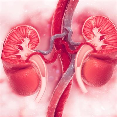 Special Issue Research topic image