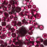 Special Issue Research topic image