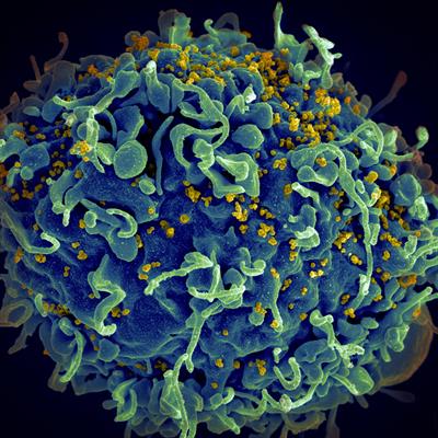 Special Issue Research topic image