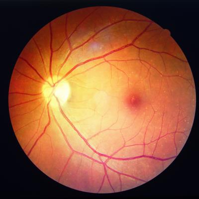 Special Issue Research topic image