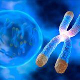 Special Issue Research topic image