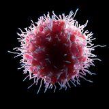 Special Issue Research topic image
