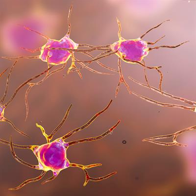Special Issue Research topic image