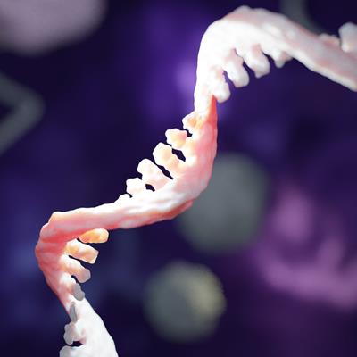 Special Issue Research topic image