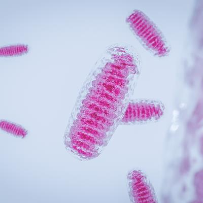 Special Issue Research topic image