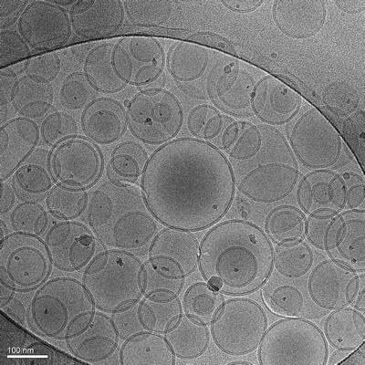 Special Issue Research topic image