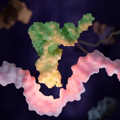 Special Issue Research topic image