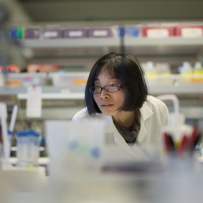 Special Issue Research topic image