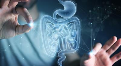 Special Issue Research topic image