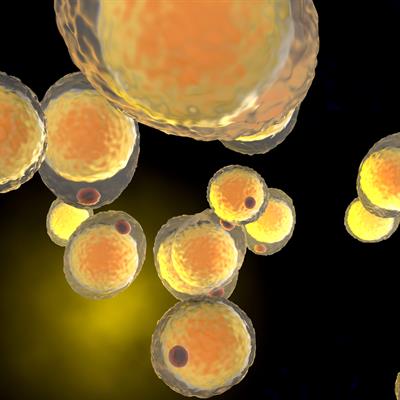Special Issue Research topic image