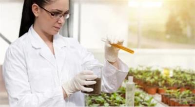Special Issue Research topic image