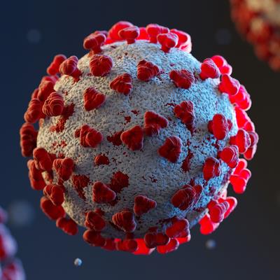 Special Issue Research topic image