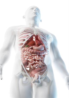 Special Issue Research topic image