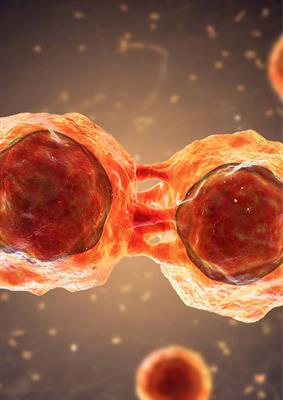 Special Issue Research topic image
